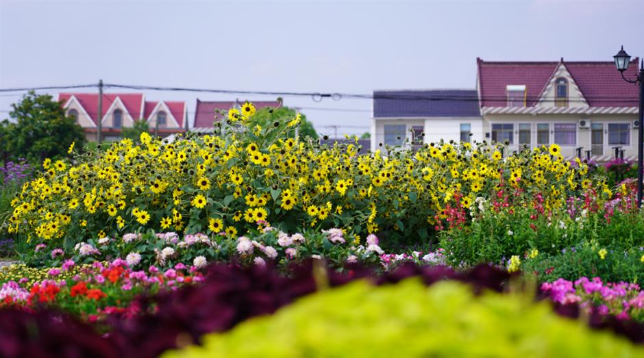 文旅部推薦!上海三條線路上榜