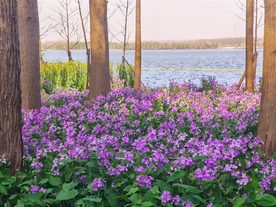 文旅部推薦!上海三條線路上榜