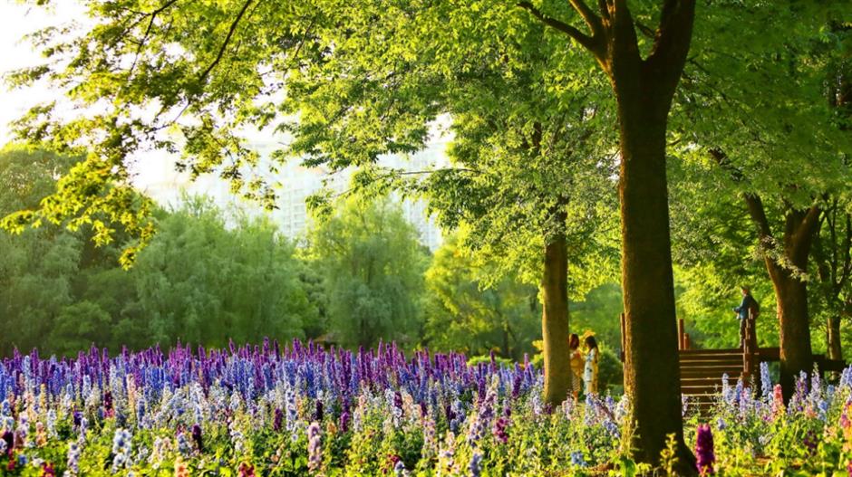 市中心最大的免费公园赏花指南来了