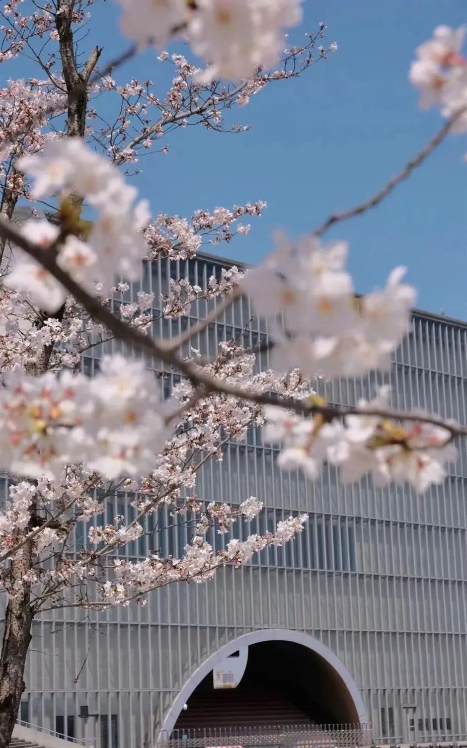门票优惠、活动精彩!带妈妈来过节