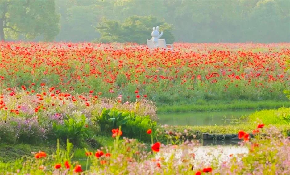门票优惠、活动精彩!带妈妈来过节