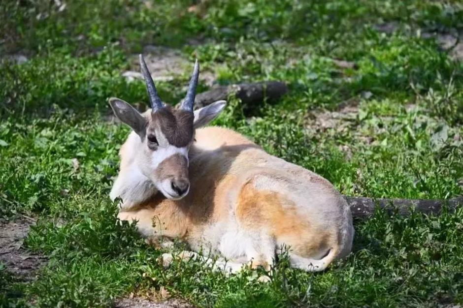 门票优惠、活动精彩!带妈妈来过节