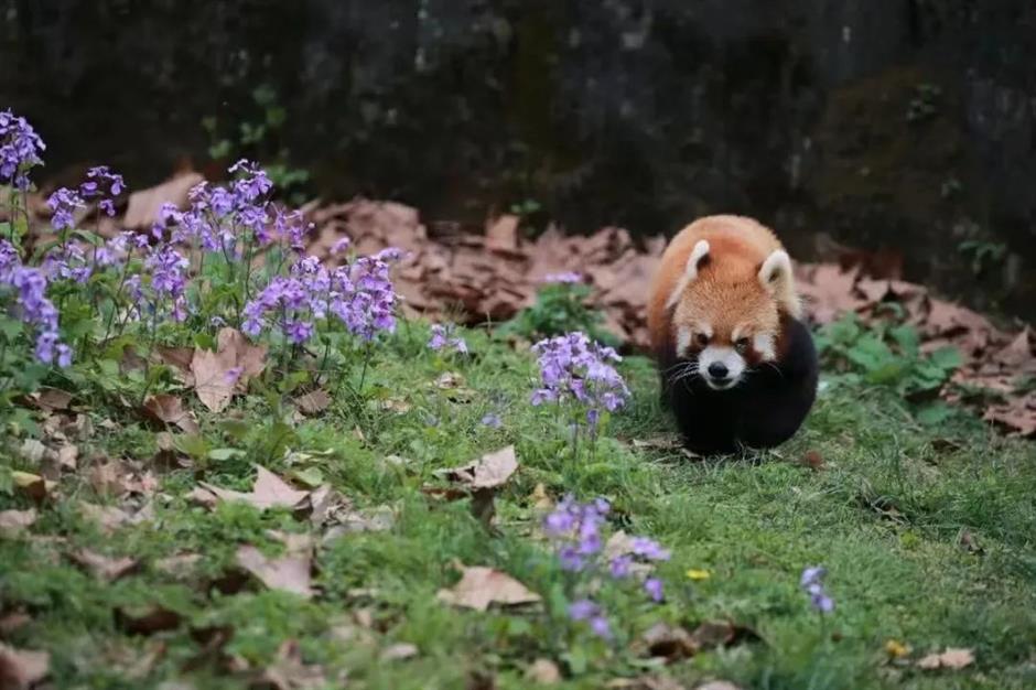 门票优惠、活动精彩!带妈妈来过节