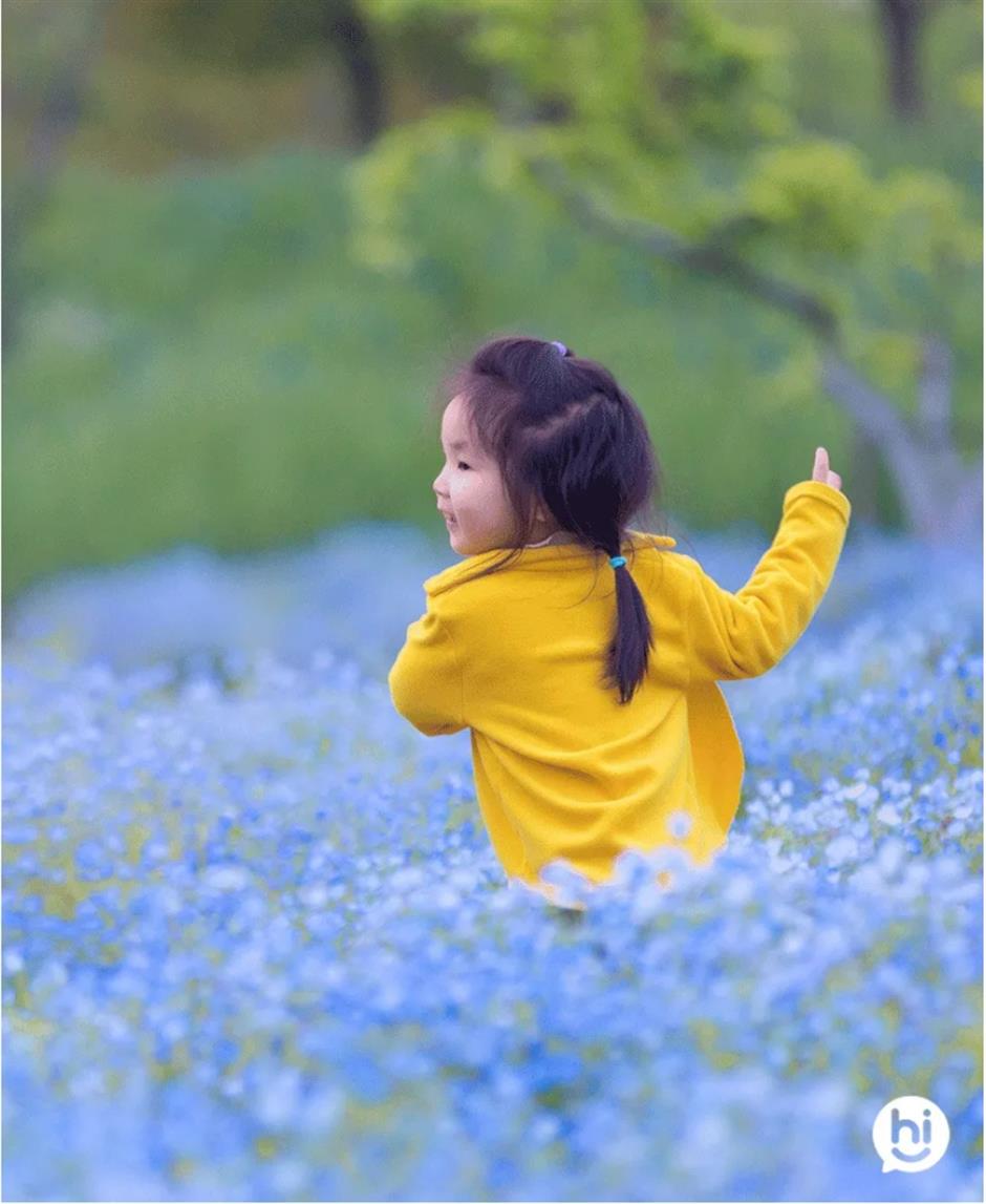 上海有两座无敌湖景的绝美