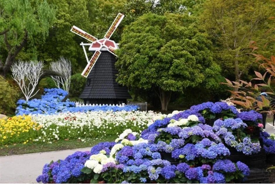 上海有两座无敌湖景的绝美