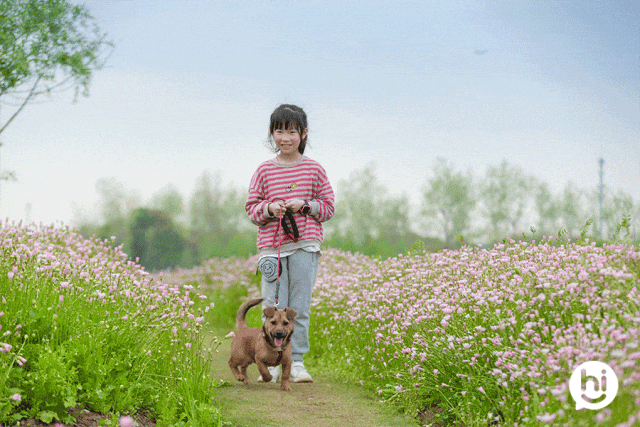 上海有两座无敌湖景的绝美