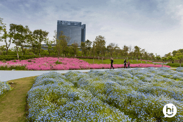 上海有两座无敌湖景的绝美
