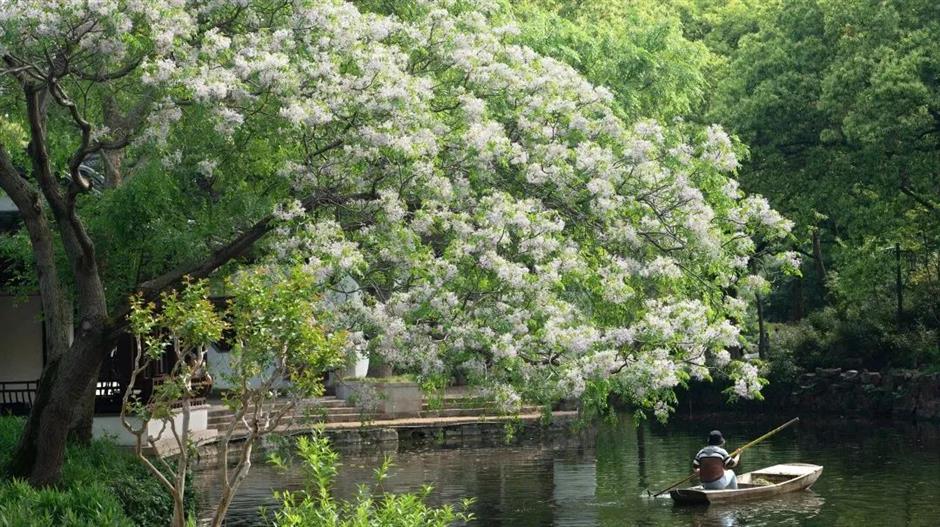 名单来了!中国旅游日,上海62家景区(点)限时门票半价