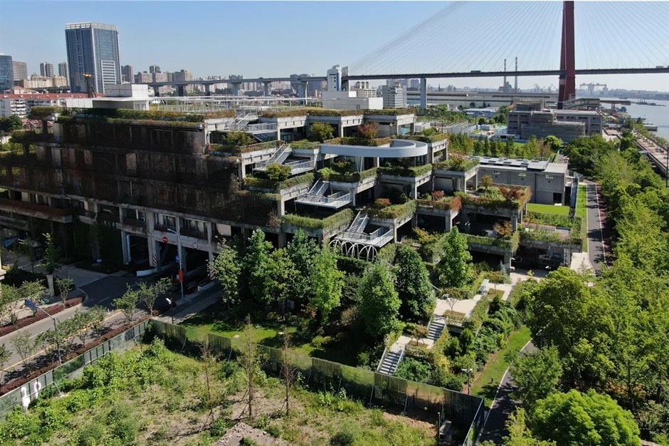 三条宝藏Citywalk路线,带你漫游杨浦滨江!