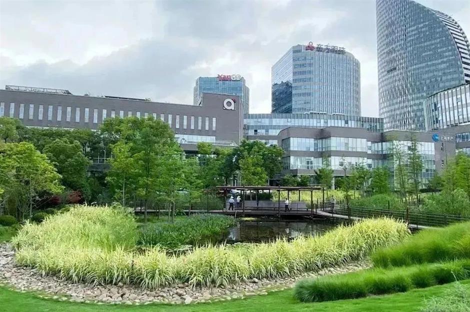 三条宝藏Citywalk路线,带你漫游杨浦滨江!