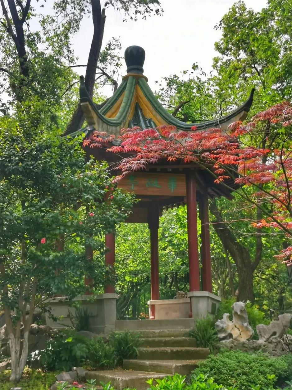 在苏州河畔看小故宫、百年洋房、欧式宫殿……还能解锁魔都隐藏赏花路线!