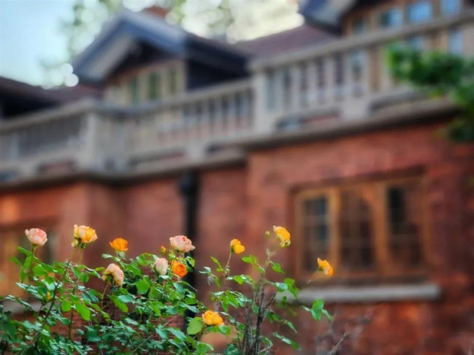 在苏州河畔看小故宫、百年洋房、欧式宫殿……还能解锁魔都隐藏赏花路线!