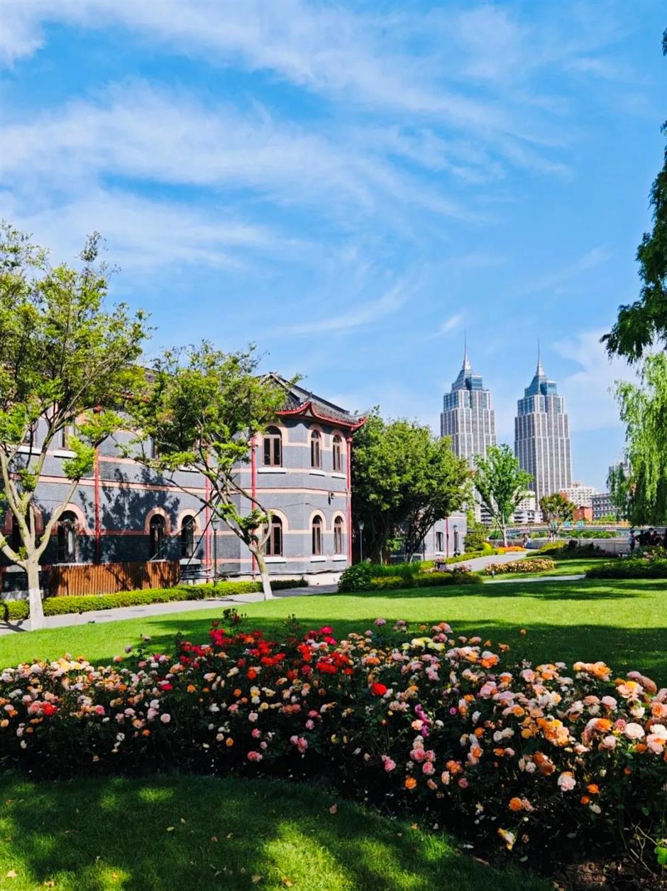 在苏州河畔看小故宫、百年洋房、欧式宫殿……还能解锁魔都隐藏赏花路线!