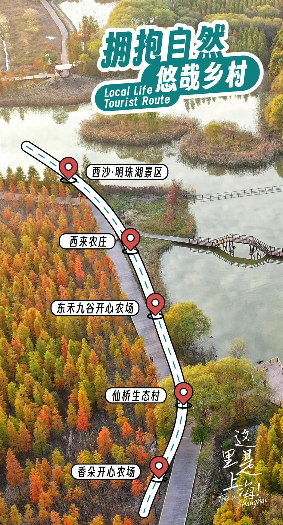 这里是上海| 体验上海的烟火气!那一定要收藏这6条线路