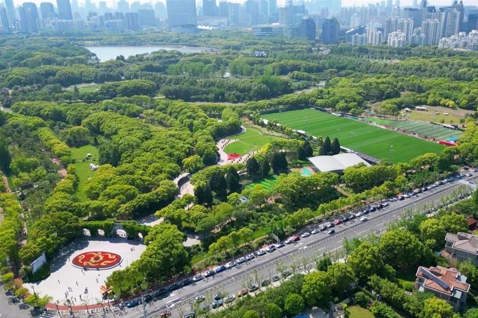 小身躯,大能量!