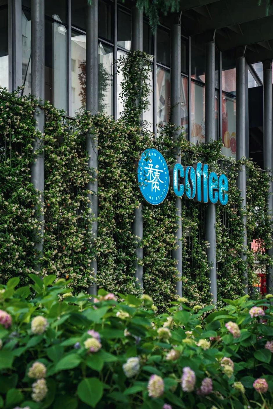 蘇州河邊的絕美花海,人少速來