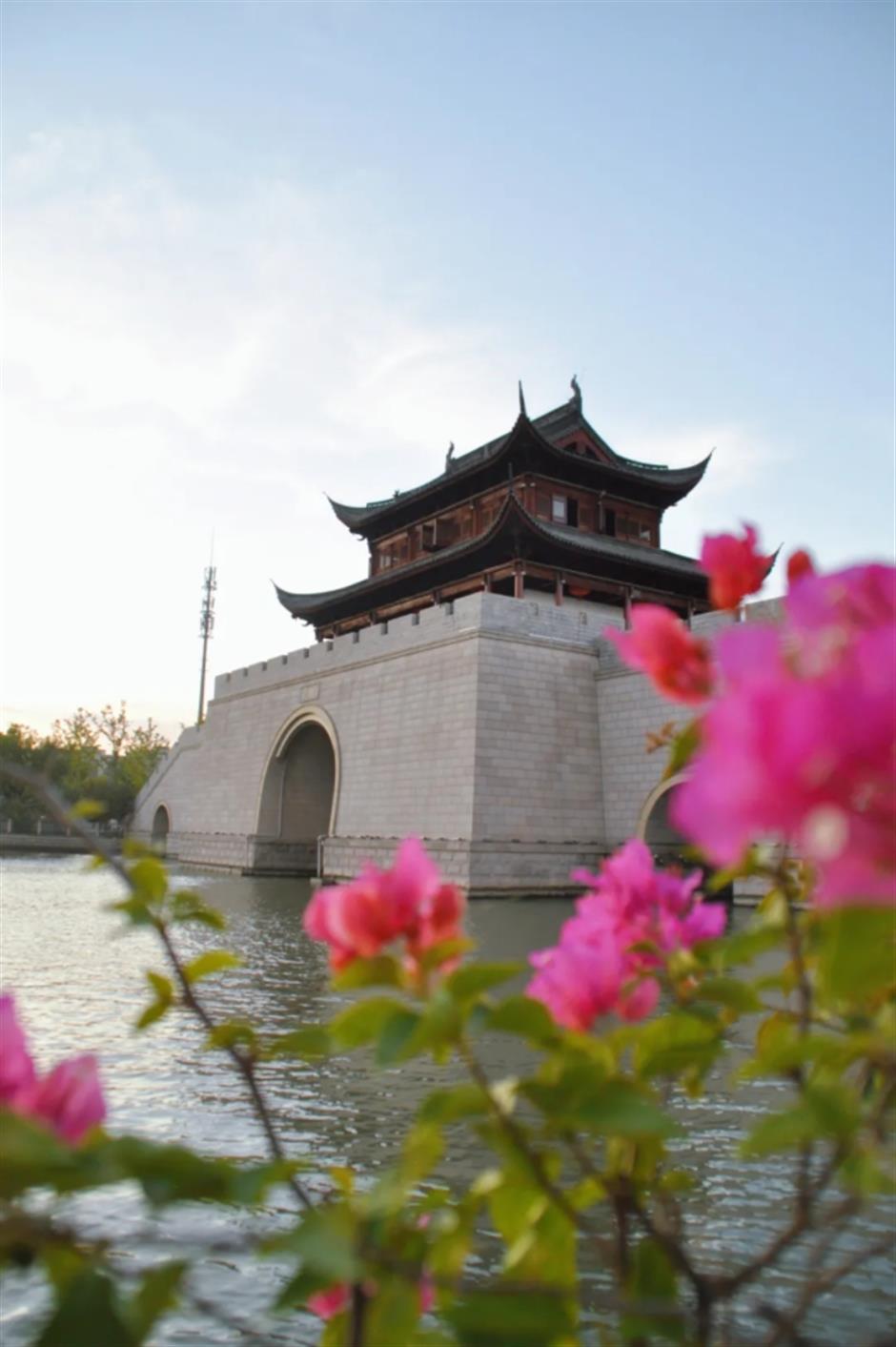 詩意青浦,享自然清新
家門口的好去處citywalk線路