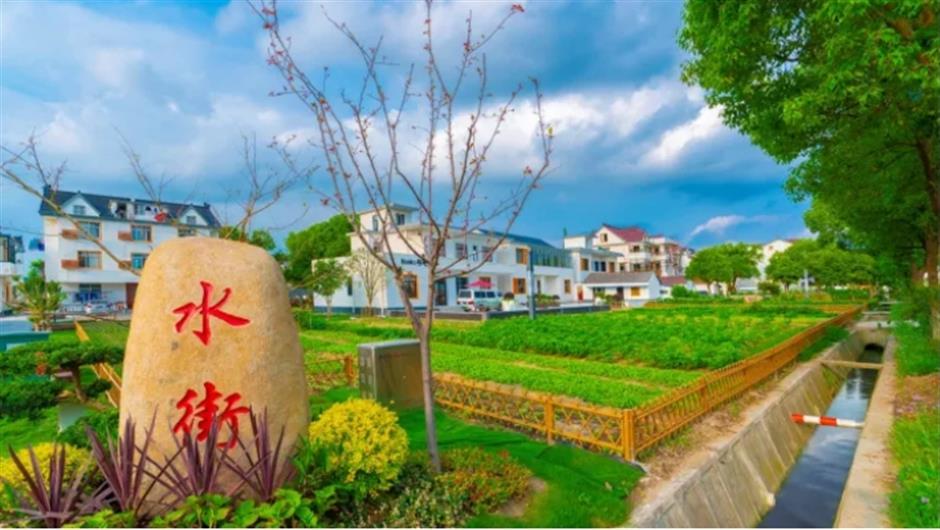 詩意青浦,享自然清新
家門口的好去處citywalk線路