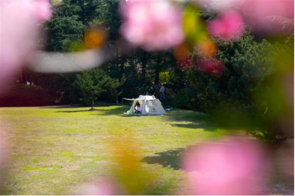 詩意青浦,享自然清新
家門口的好去處citywalk線路