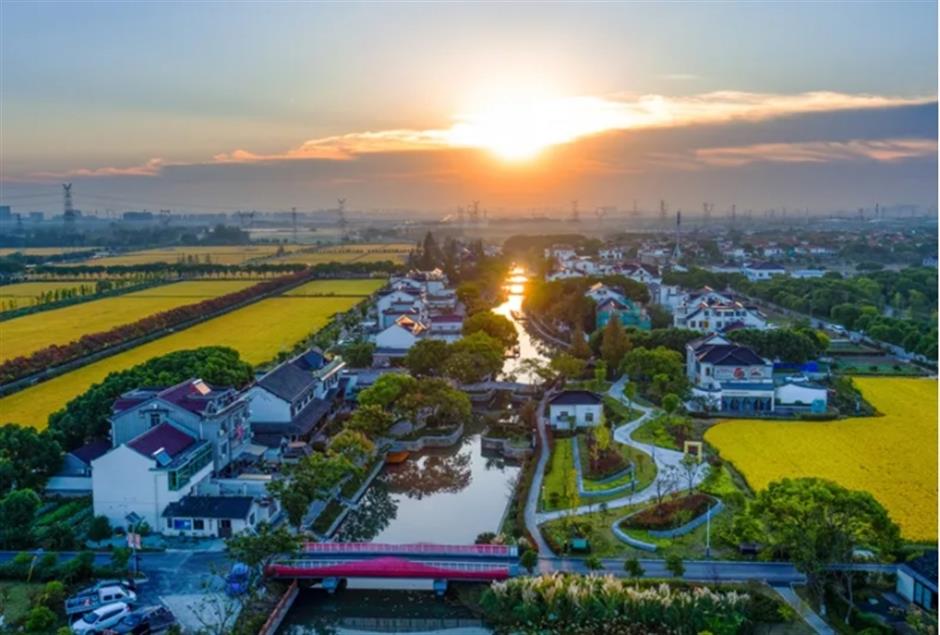 詩意青浦,享自然清新
家門口的好去處citywalk線路