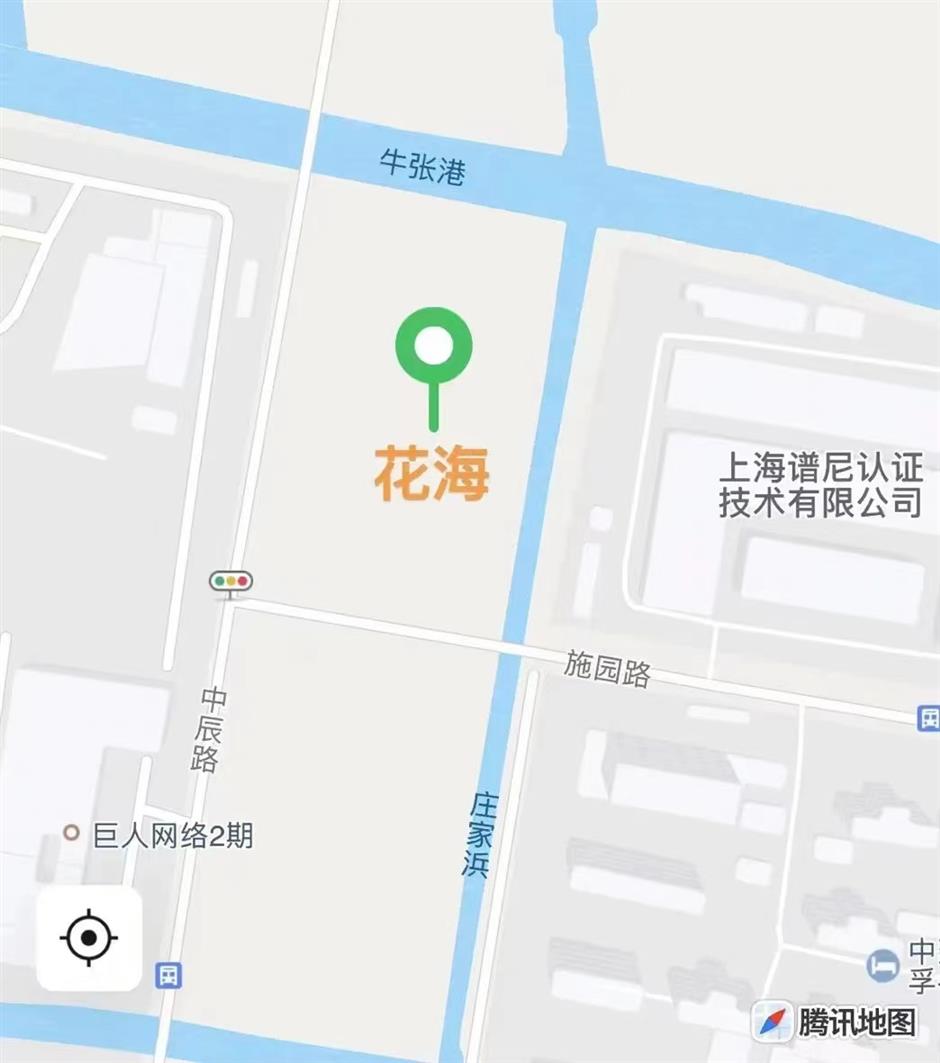 上海初夏的免费无人花海找到了!超出片→