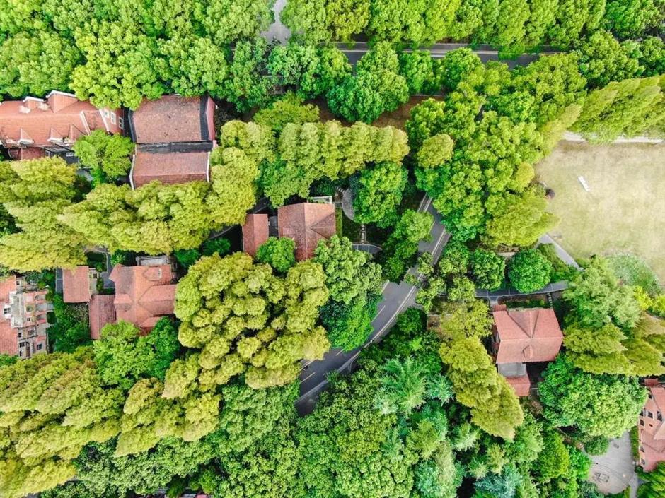 上榜啦!上海8座老房子入选