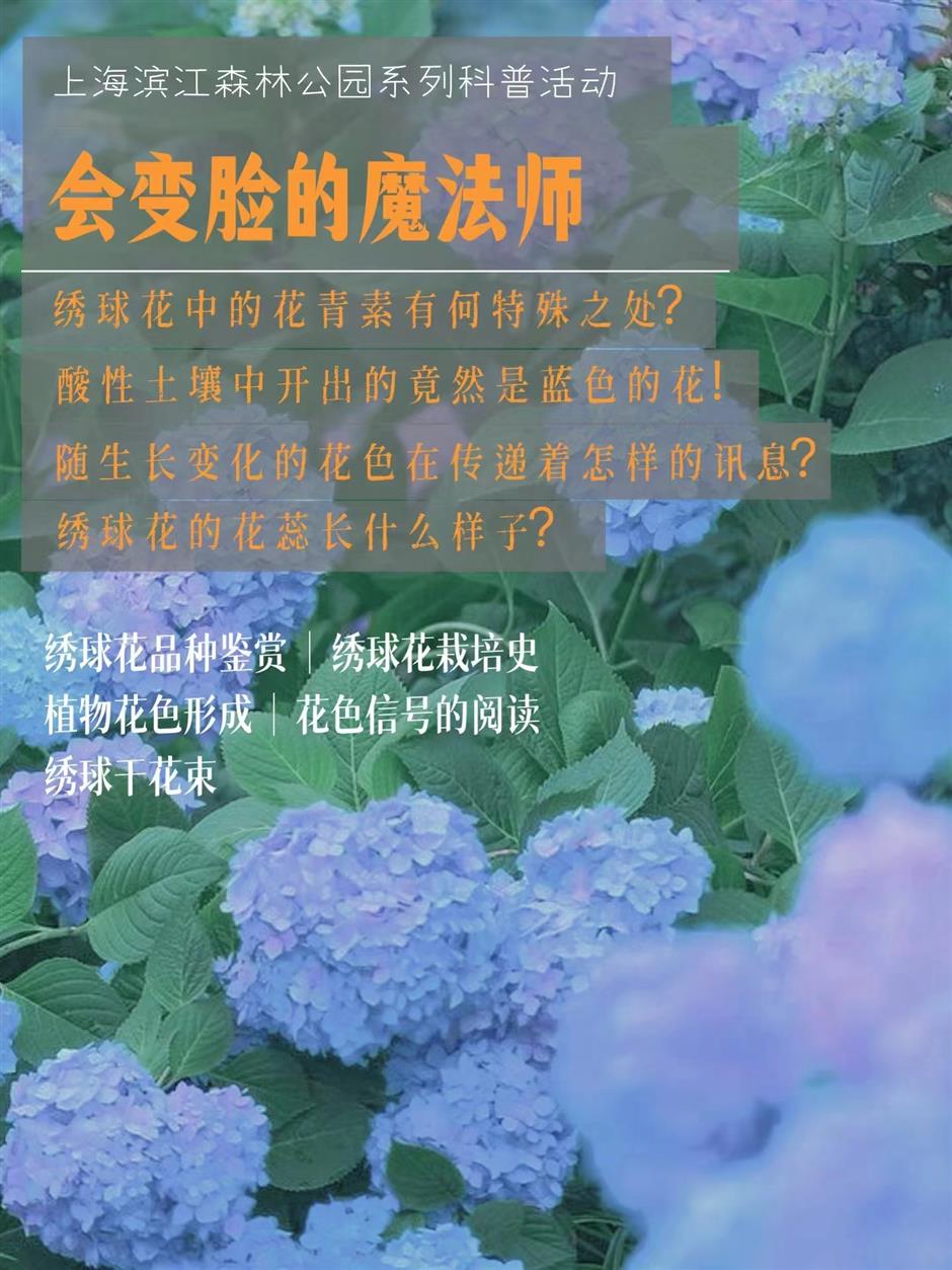 Children's Day Extravaganza for Shanghai families