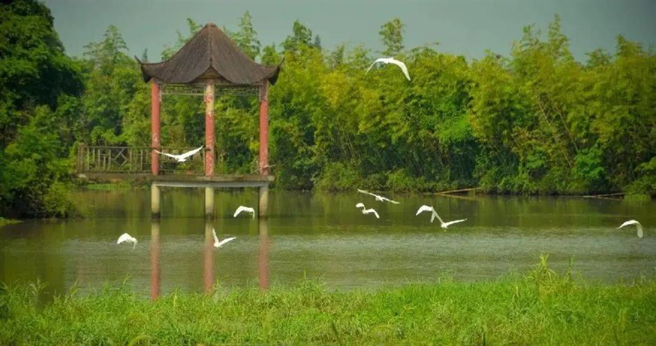 超適合初夏!郊野公園有新玩法