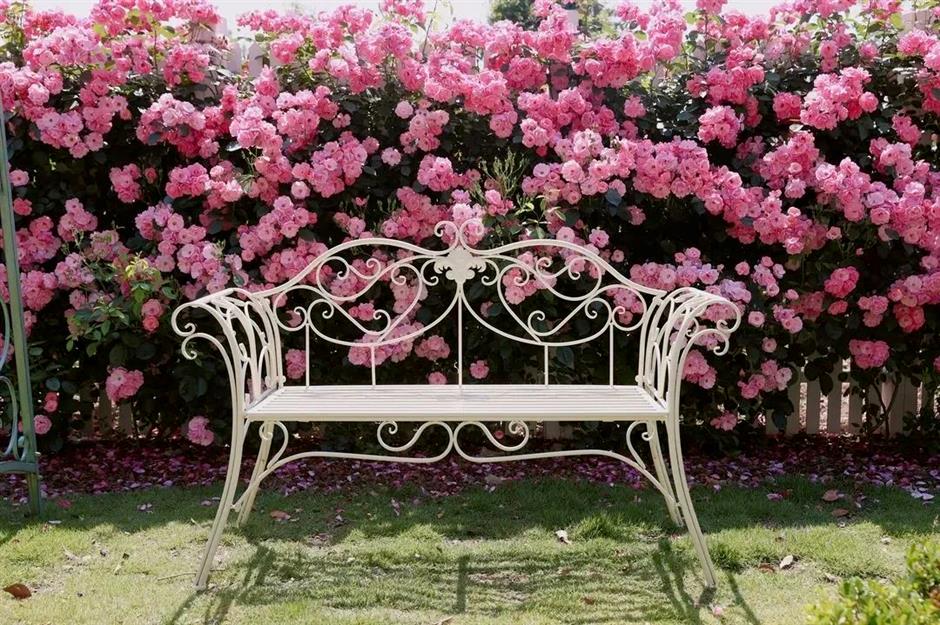 超適合初夏!郊野公園有新玩法