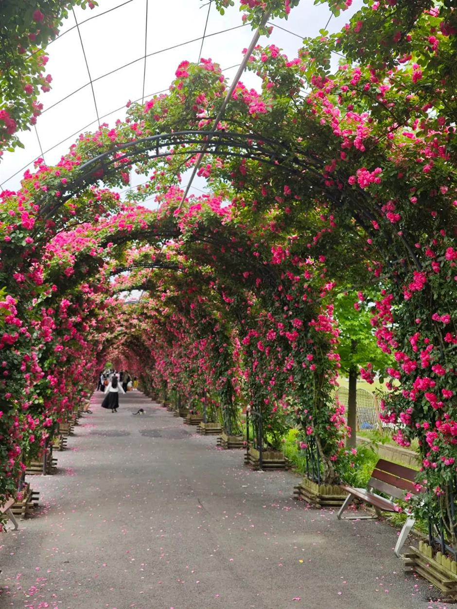 超適合初夏!郊野公園有新玩法
