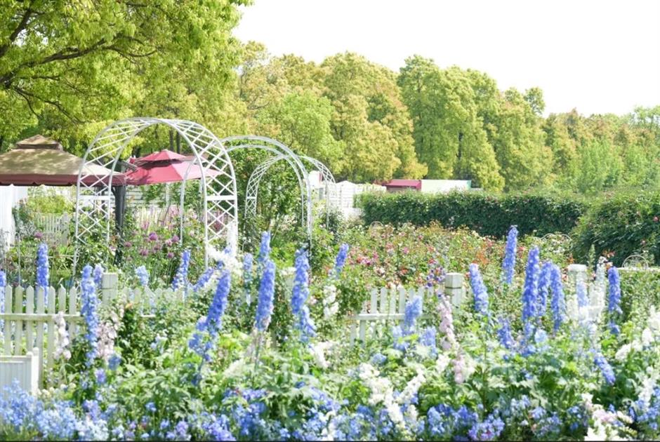 超適合初夏!郊野公園有新玩法