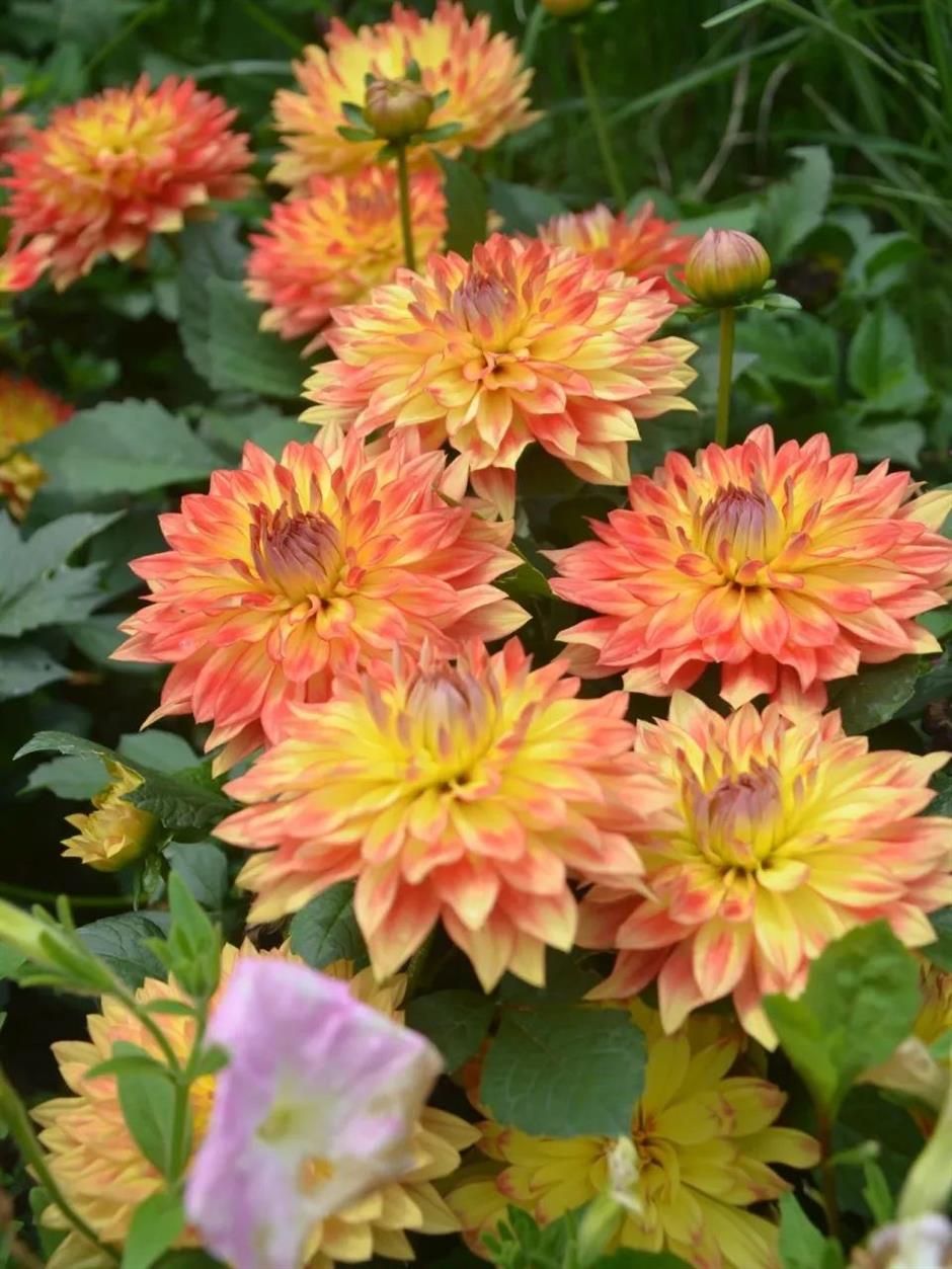 超適合初夏!郊野公園有新玩法