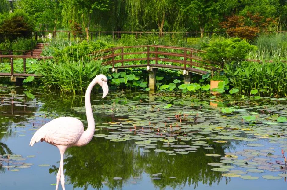 超適合初夏!郊野公園有新玩法