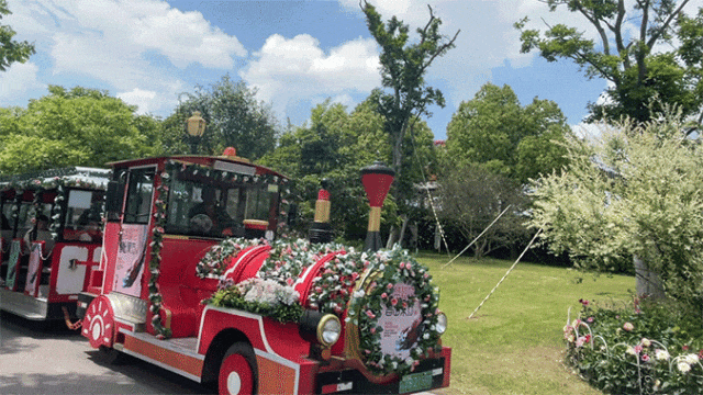 六一欢乐多,收下这份景区活动和优惠指南