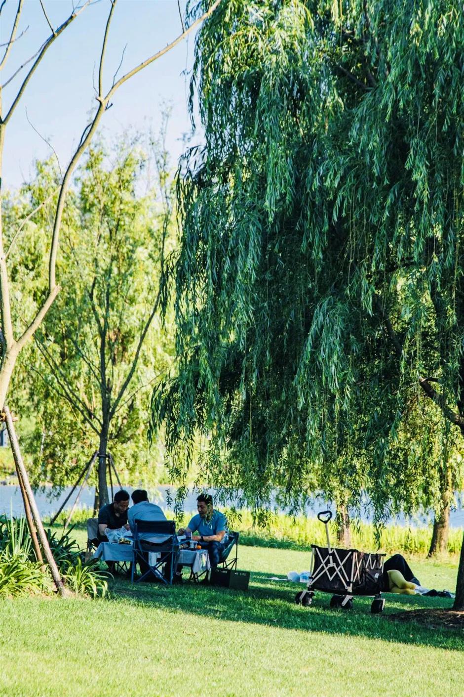 竟然真的在上海市中心!湖光山色、15000㎡