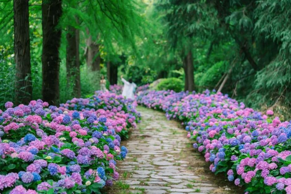 六一欢乐多,收下这份景区活动和优惠指南