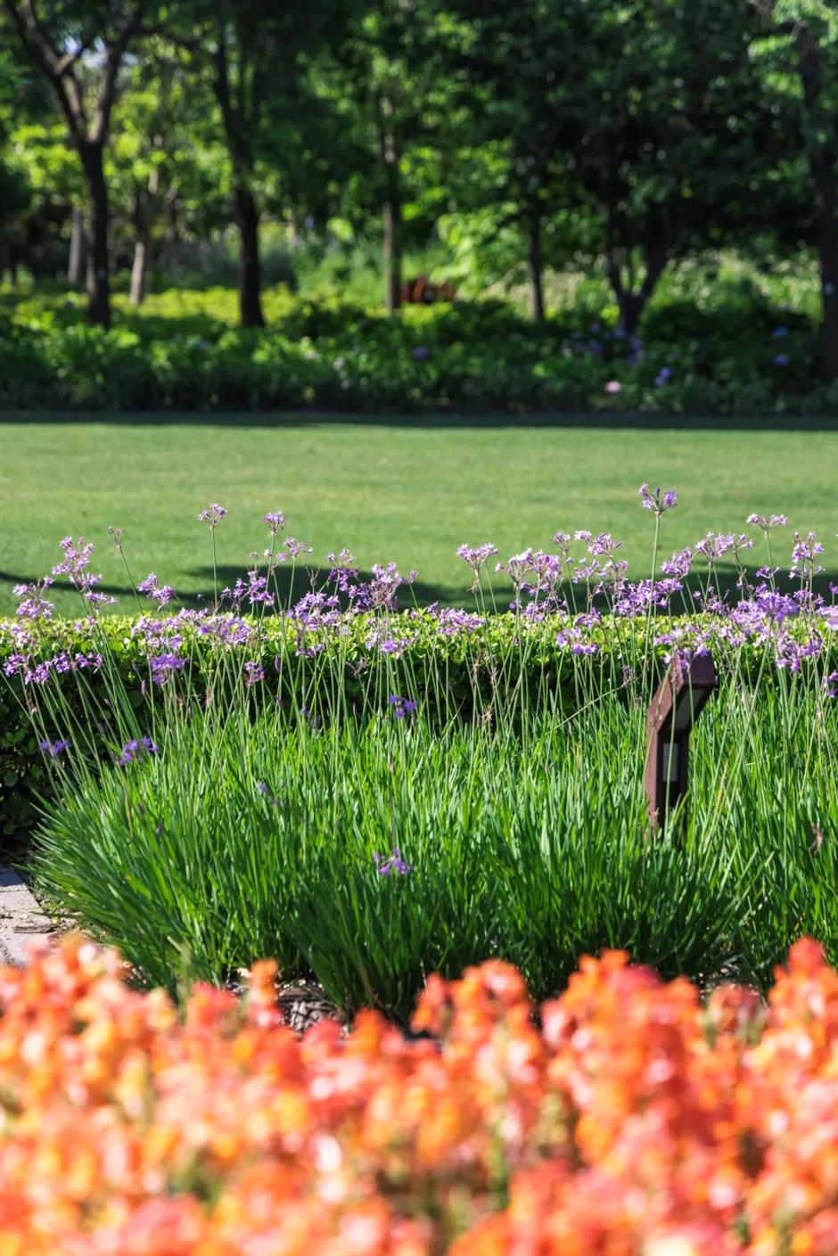 竟然真的在上海市中心!湖光山色、15000㎡