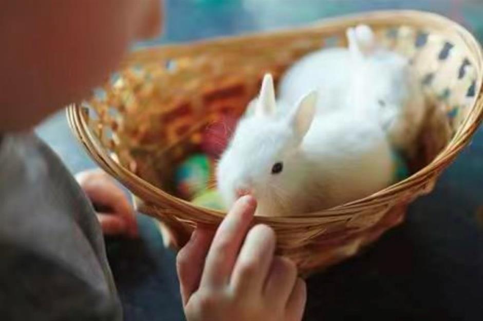 六一欢乐多,收下这份景区活动和优惠指南