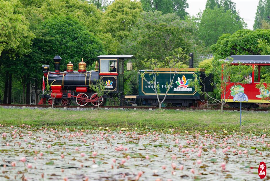 处处有花海,郊游打卡正当时