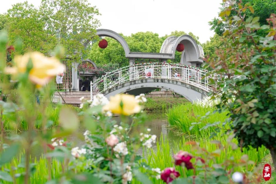 处处有花海,郊游打卡正当时