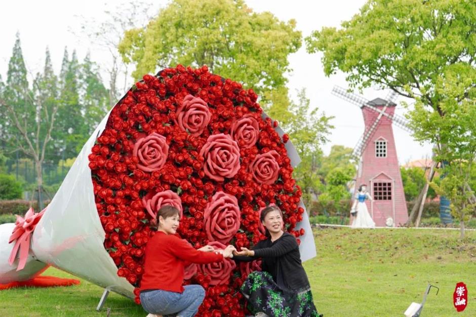 处处有花海,郊游打卡正当时