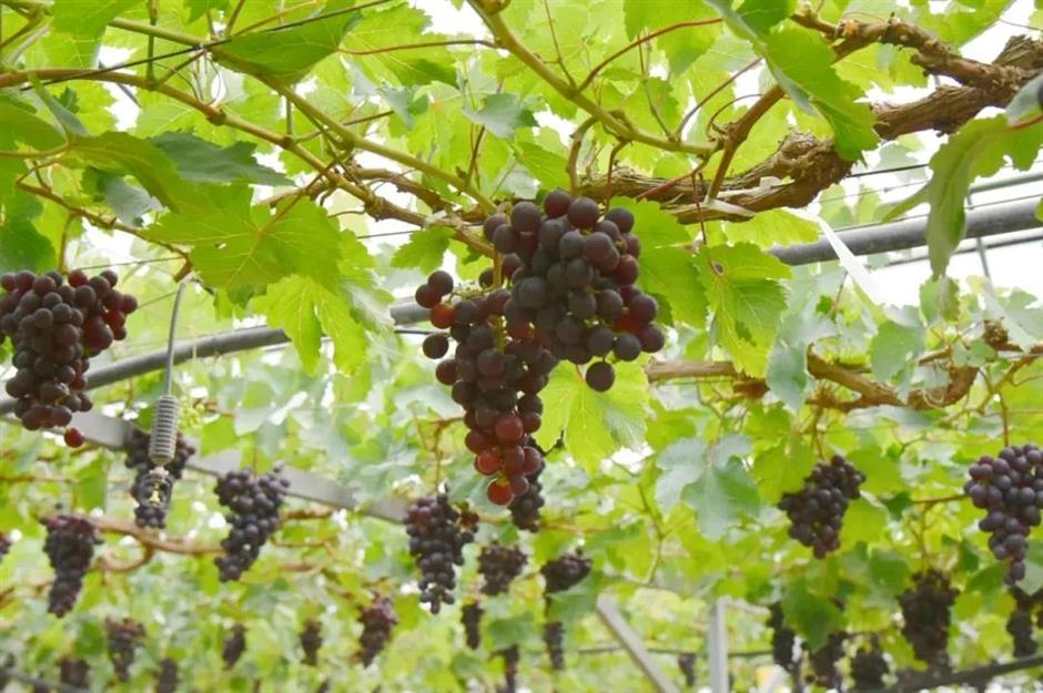 上新!这些景区又有好玩的~