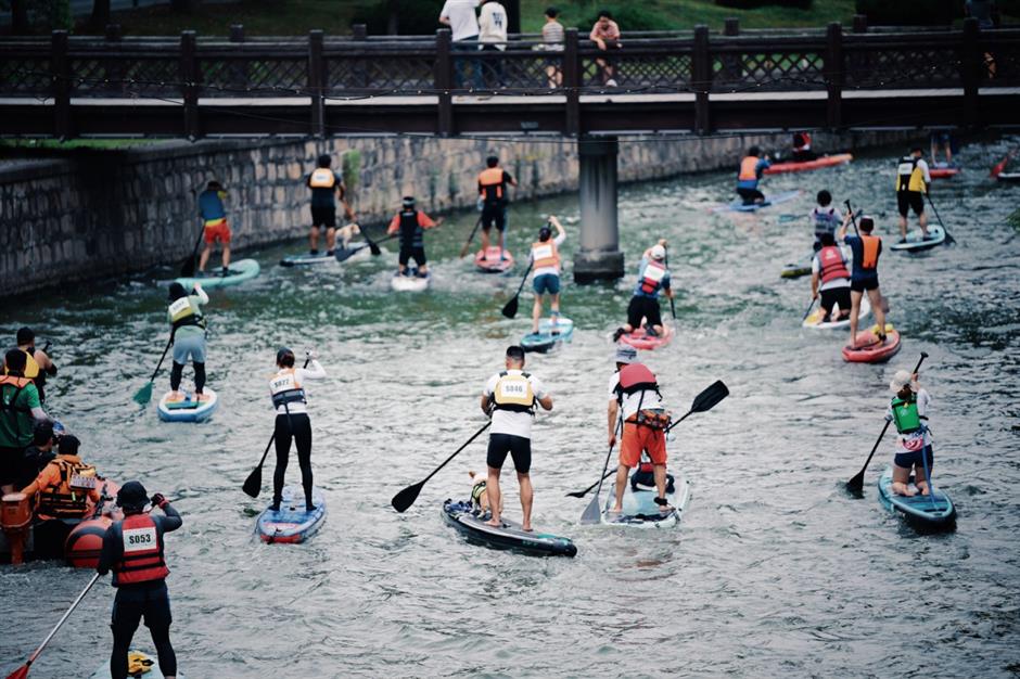 第十七屆羅店龍船文化節盛大開幕