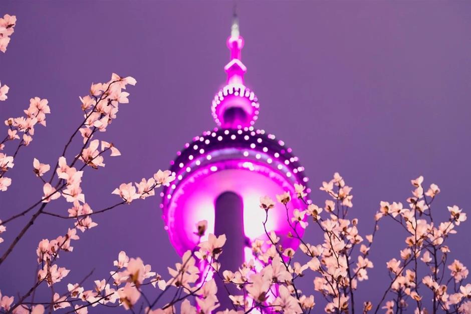 首批「最上海」文物主題遊徑發布啦!