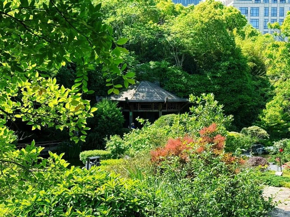 跟着明信片打卡,收集同框夏日美景