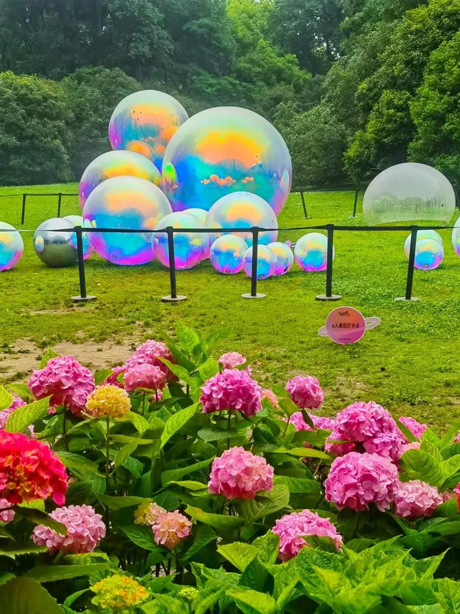 夏日的氛围感,就在这里