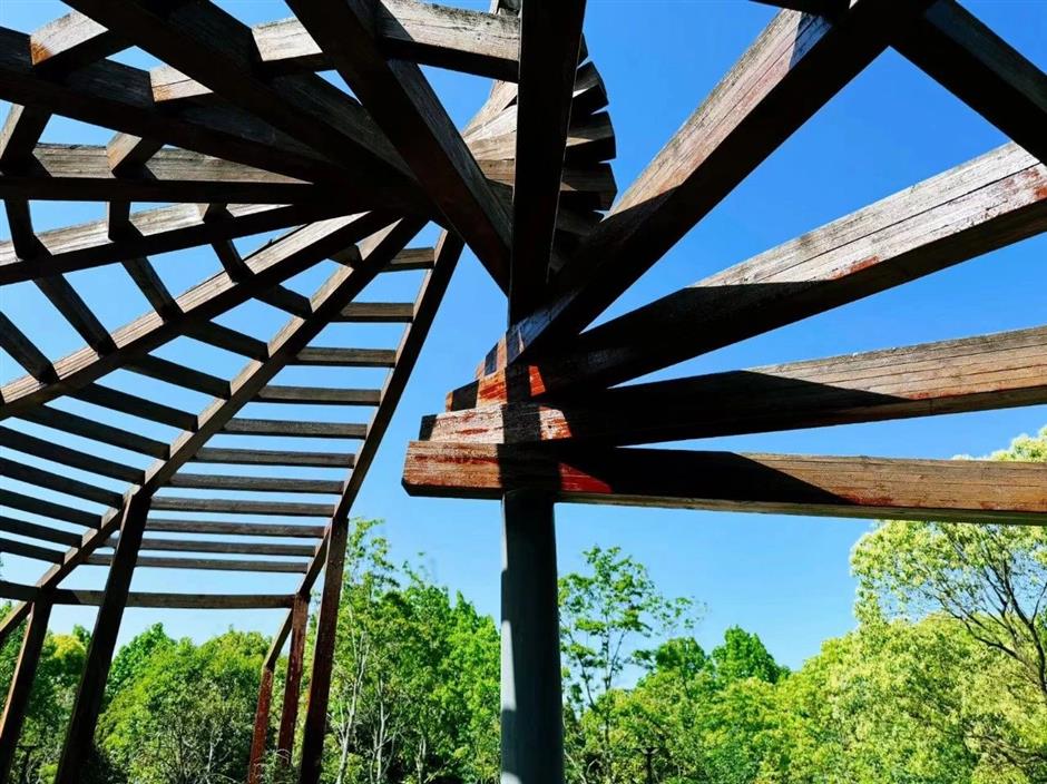 跟着明信片打卡,收集同框夏日美景