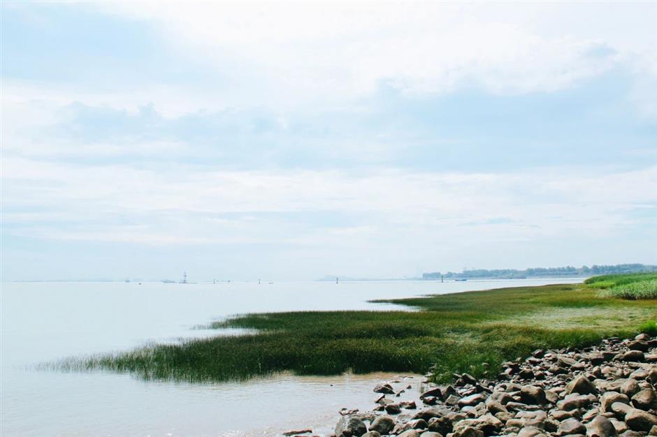 跟着明信片打卡,收集同框夏日美景