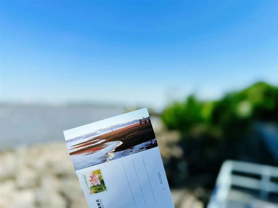 跟着明信片打卡,收集同框夏日美景