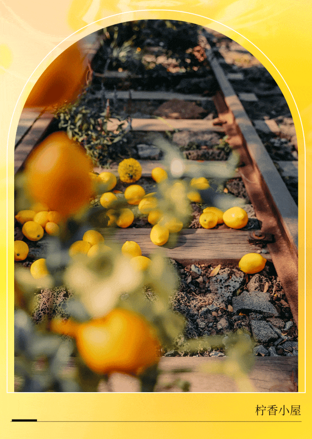 夏日的氛围感,就在这里